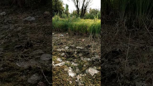 Бишкек, пионерское озеро. смотреть онлайн