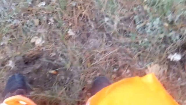 Посадка желудей "Дуба Черешчатого"Сапун-Гора,посадил 200 желудей на ростоянии 8метров.октябрь2019го смотреть онлайн