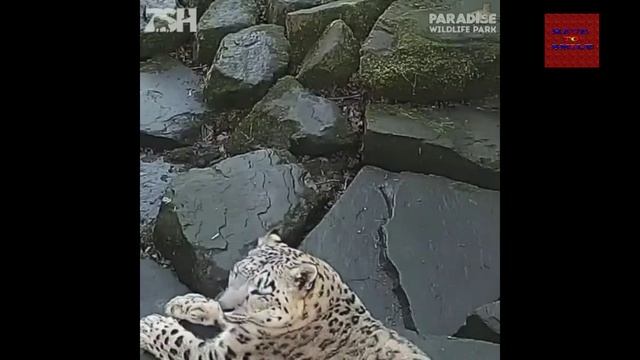 Я РЖАЛ ПОЛЧАСА КРУТЫЕ ПРИКОЛЫ смотреть онлайн
