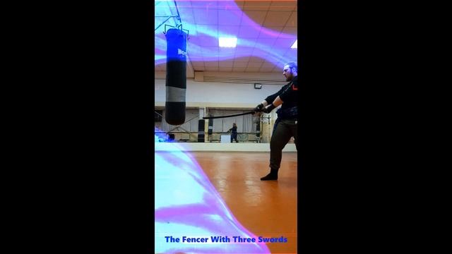 Fencer Status/Vergil Style смотреть онлайн