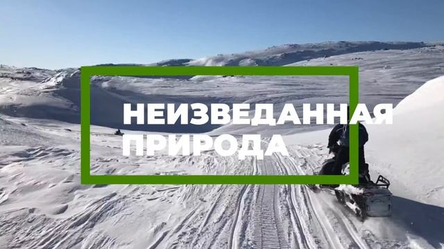 На снегоходах по Кольскому полуострову. Северное сияние, мурманский лосось и гребешок| смотреть онлайн