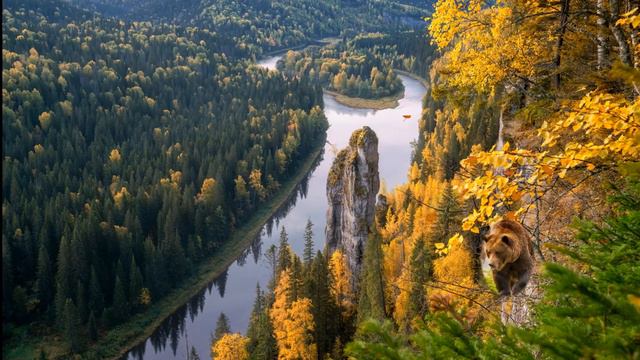 урок 59) смотреть онлайн