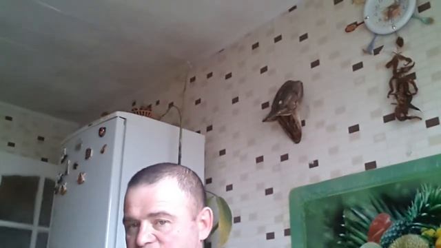 Быстра зделал манок на серого гуся смотреть онлайн