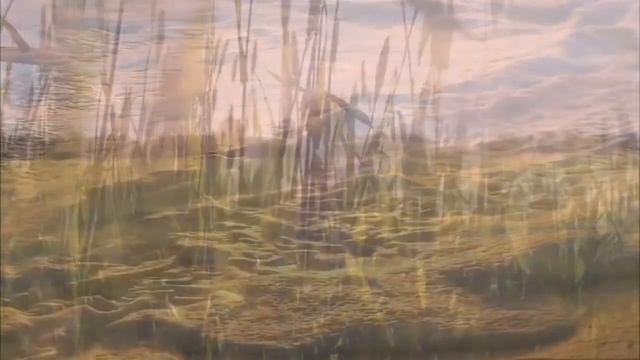 Эра Водолея! автор Ярослав Старухин - читает Юрий Голд - Глобальная волна смотреть онлайн