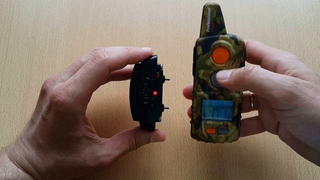 D-control professional Dogtrace смотреть онлайн