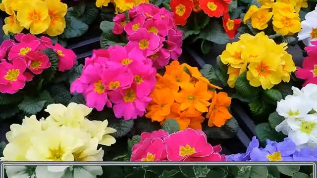 Корректирующие слои урок 62 смотреть онлайн