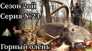 Охота с луком на оленя в штате Мэриленд