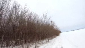 ЗАЯЦ -ГИМНАСТ !!! Охота на зайца!