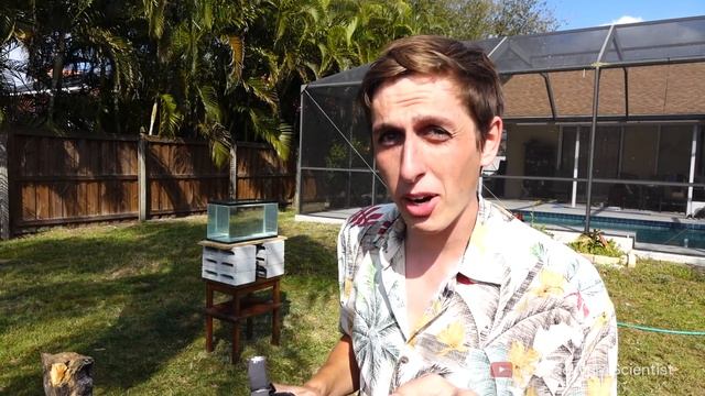 Pouring Molten salt into Water - Explosion! смотреть онлайн