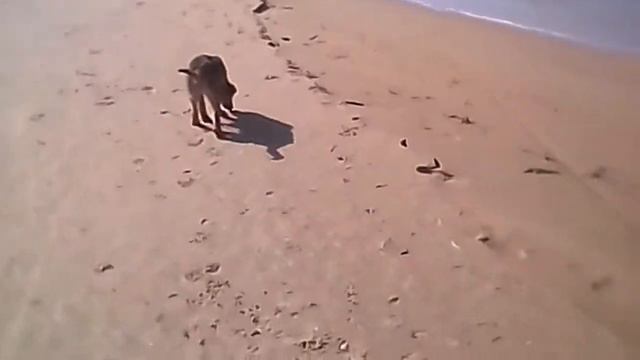 Анапа смотреть онлайн