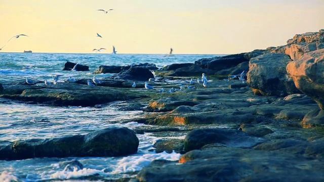 Каспий - город Актау, Казахстан / Caspian Sea - Aktau city, Kazakhstan смотреть онлайн