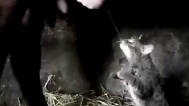 Жажда....! смотреть онлайн