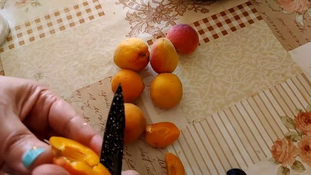 Десерт, нежен и сладък, с кайсии в мултикукър Тефал турбо #рецепти #multicooker #tefal #кайсии смотреть онлайн