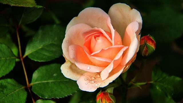 Самые хорошие русские песни для автомобиля 2015 смотреть онлайн