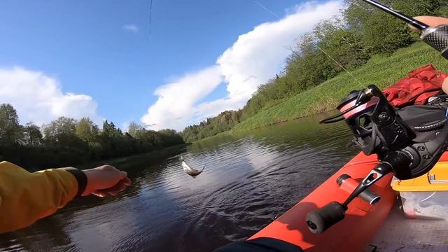 Сплав за голавлём! Первая рыбалка с ночёвкой смотреть онлайн