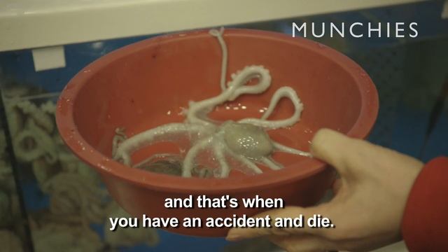 How to Eat Live Octopus смотреть онлайн