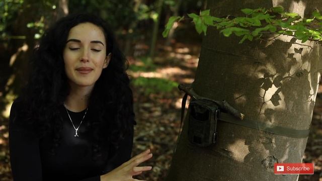 Camera Trap for Wildlife UK: cheap Amazon trail camera! смотреть онлайн