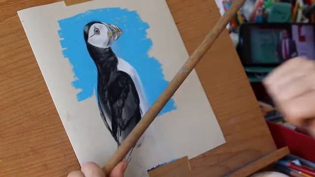 Pastel Drawing of Puffin on Paper Tim Fisher 400. Time Lapse Puffin Drawing. смотреть онлайн