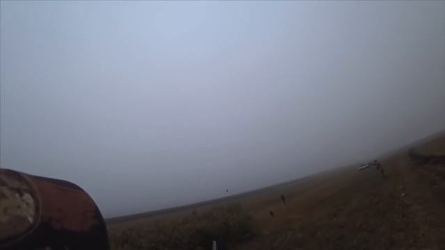 Охота на фазана 2019г