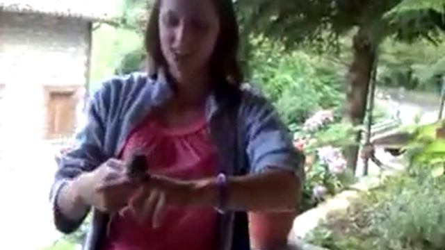 danza pilucco смотреть онлайн