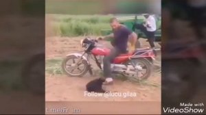 Жан Клод Вандам - ТАНЦУЕТ ПОД РУССКИЕ ПЕСНИ