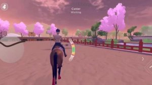 Конкурная Тренеровка//Кск//ETG//Лошади//????