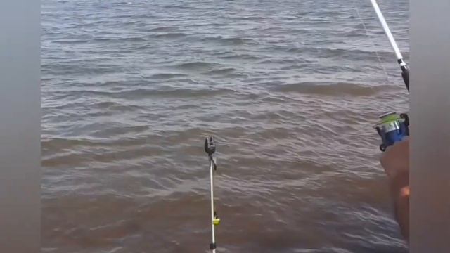 Рыбалка на карася и карпа на доннку смотреть онлайн
