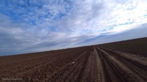 ЗАЯЦ в каждой ПАШНЕ! ОХОТА НА ЗАЙЦА. Декабрь.Hare hunting.#охотаназайцапочернотропу #охотаназайца