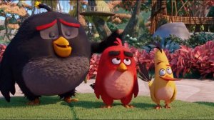 Angry Birds - Coffin Dance Song (Cover) #3
