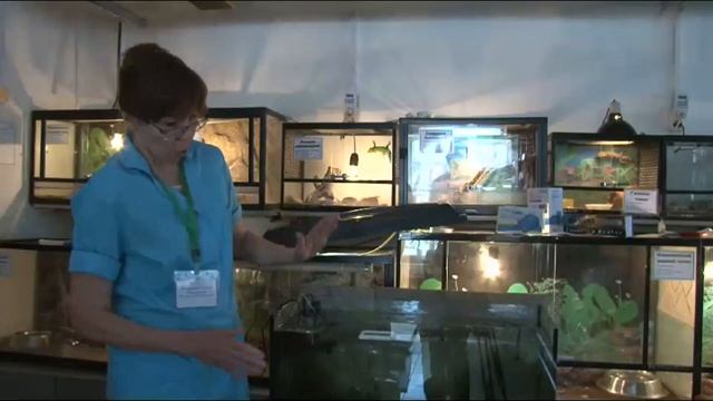 Организация живого уголка в школе смотреть онлайн