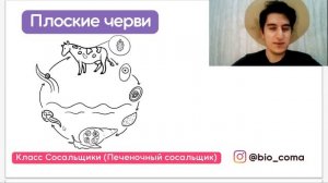 Цикл развития Печеночного сосальщика | Биология ЕГЭ Biocoma