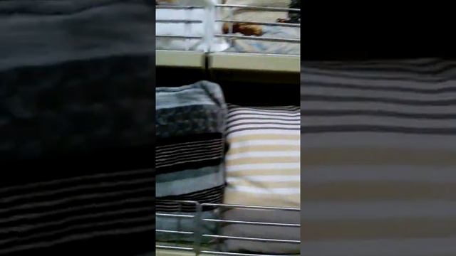 Фирменный магазин family, товары для дома. Постельное белье, подушки. смотреть онлайн