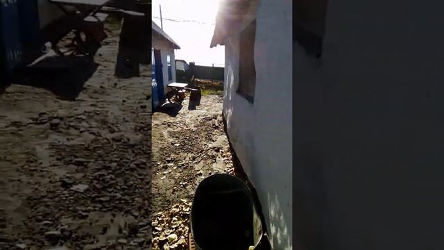 посадка огорода всей роднёй смотреть онлайн