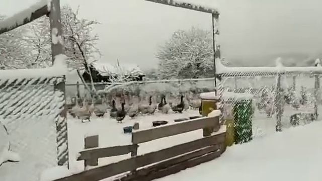 Зима...крестьянин торжествует!!! смотреть онлайн