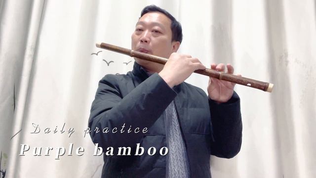 C Key Purple Bamboo Dizi Flute Practice 20220222 @Dan Tang смотреть онлайн