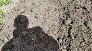 Прыгает мотоблок на фрезах