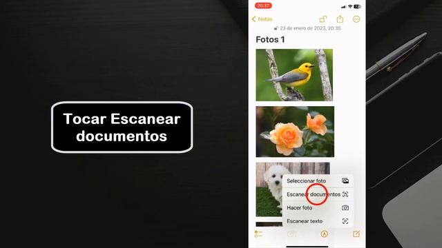 Como escanear un documento en iPhone 14 Pro Max смотреть онлайн
