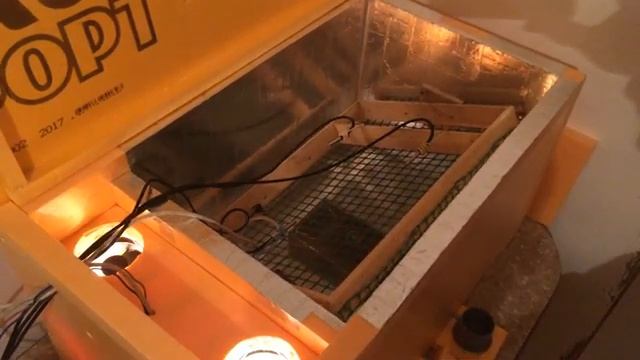 Поворот в инкубаторе смотреть онлайн