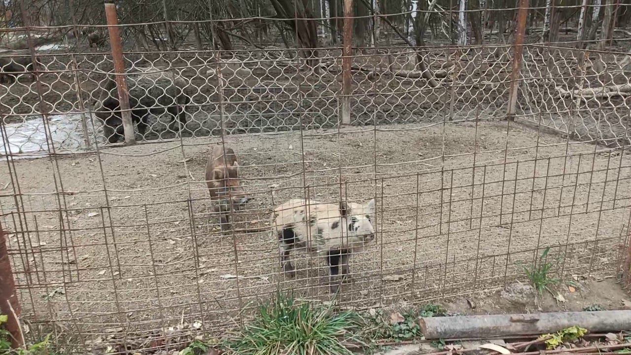 Федоровское