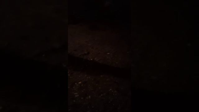sretna Nova 2022 godina svima vama i vašoj obitelji 😘😘♥️ смотреть онлайн