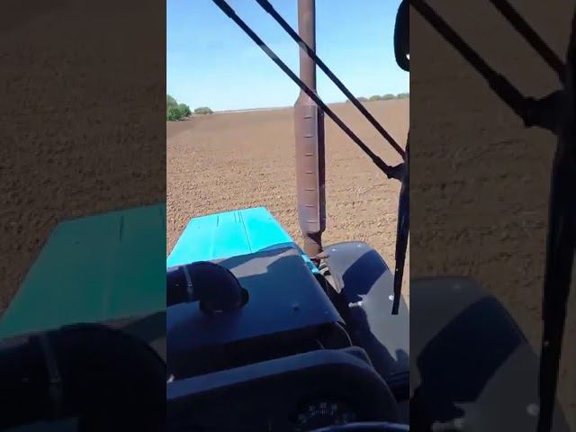 "Хочется дать в челюсть!" Фермер о цене на зерно! #ценаназерно #отзывфермера #какжитьдальше смотреть онлайн