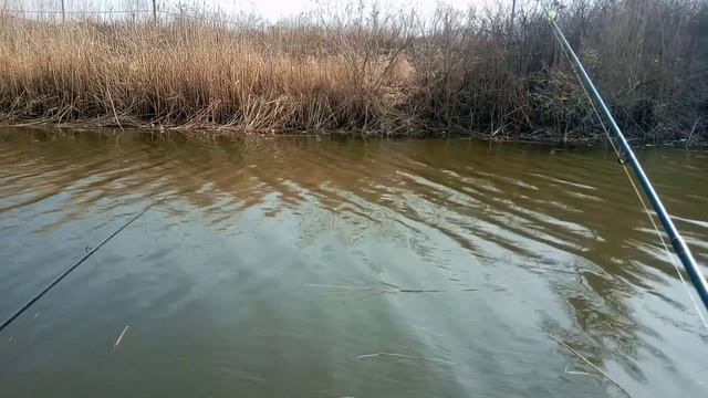Рыбалка на канале в начале апреля. Левый берег Дона. Небольшой видеоотчёт! смотреть онлайн