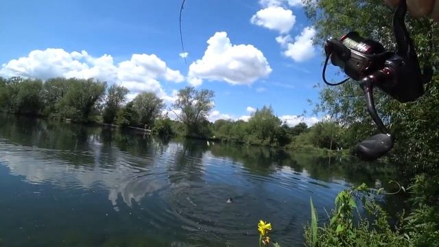 Ловим красивых бойцов карпов)))) рыбалка топ. смотреть онлайн