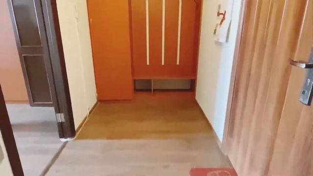 Снять однокомнатную квартиру СПб Приморский район ул.Туристская д.23 корп. 2 смотреть онлайн