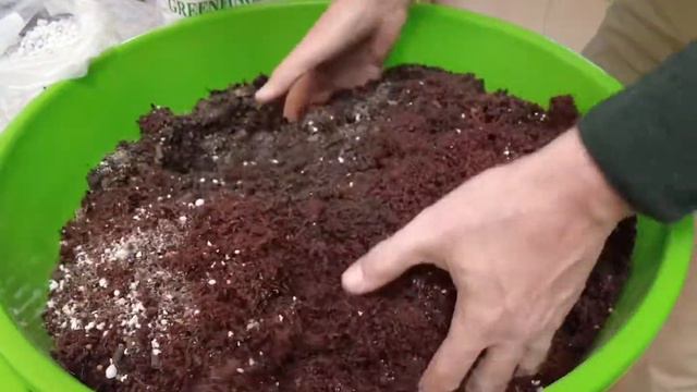 How To Plant A Colour Themed Hanging Basket