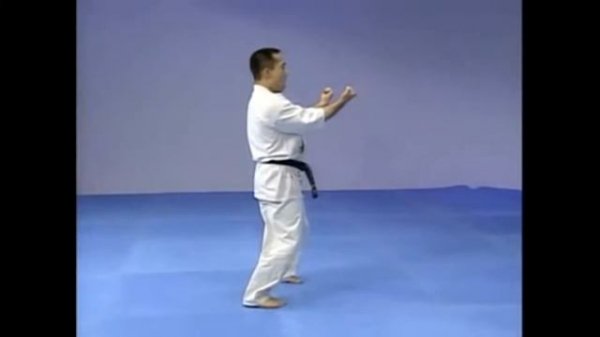 Ката Санчин Киокушинкай (Sanchin Kyokushinkai)