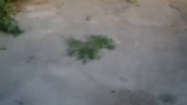 Крейзи кар смотреть онлайн