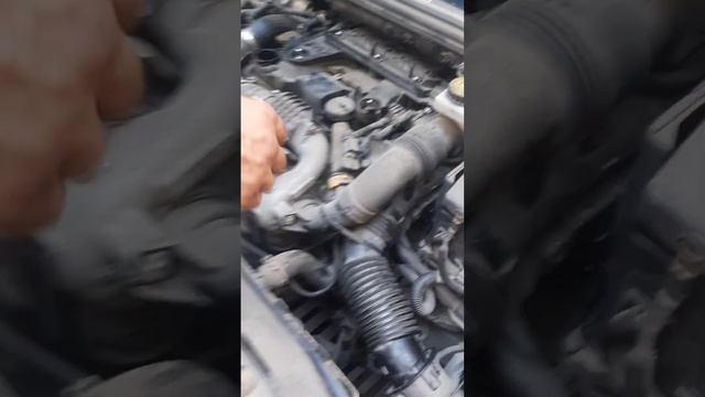 Мы с Максимом проводим ТО Пежо 408