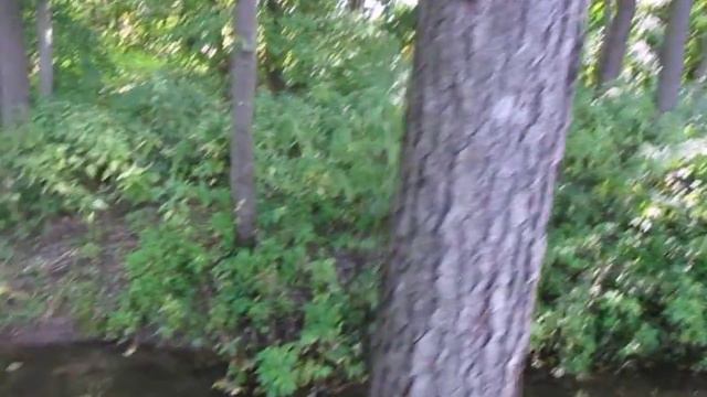 Берег р.Нара,р.Теменка. Серпуховской район смотреть онлайн