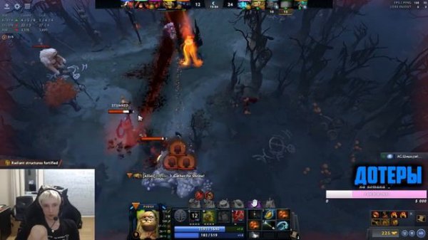 Дотеры - Зитракс на Пудже